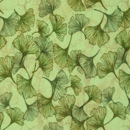 Jersey vert pâle et beige avec feuilles de ginkgo kaki en coton élasthanne (largeur 156cm)