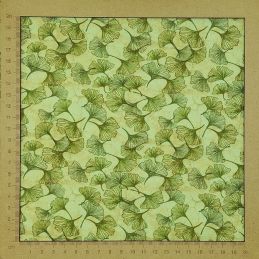 Jersey vert pâle et beige avec feuilles de ginkgo kaki en coton élasthanne (largeur 156cm)