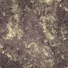 Hoffmann brown & gold moiré cotton fabric