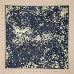 Tissu coton noir et or moiré Hoffmann
